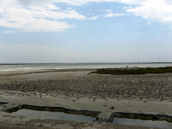 2007-07 Camargue 007.jpg